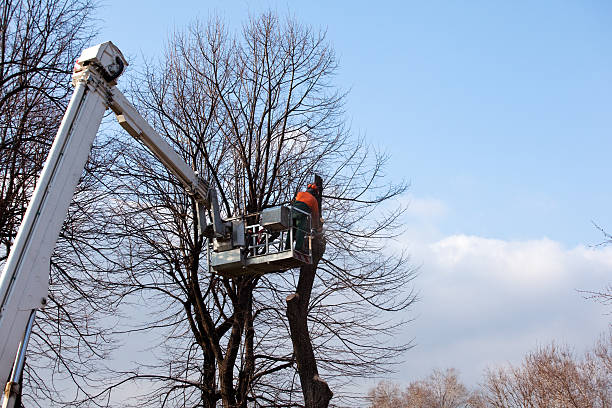 Soil Testing and Treatment in Akron, NY